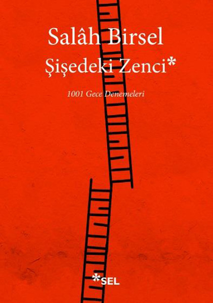 Şişedeki Zenci.pdf