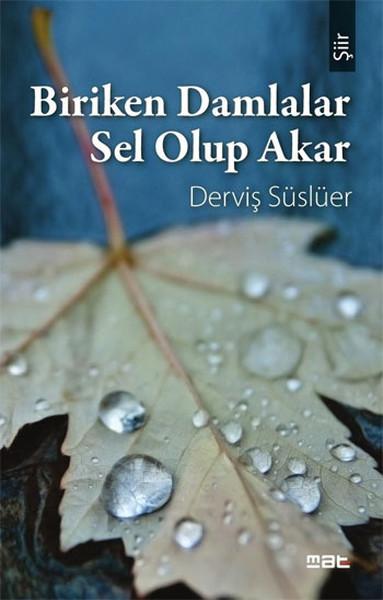 Biriken Damlalar Sel Olup Akar.pdf