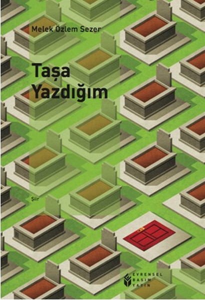 Taşa Yazdığım.pdf