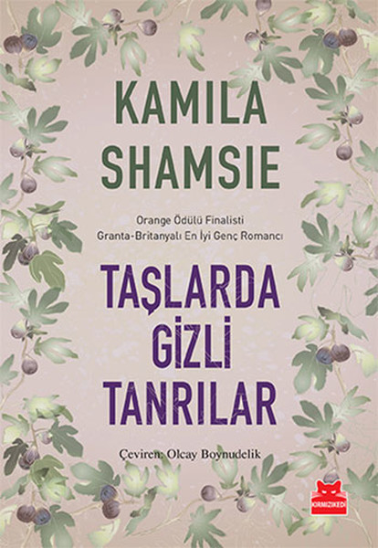 Taşlarda Gizli Tanrılar.pdf