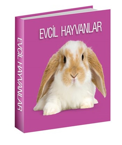 Evcil Hayvanlar.pdf