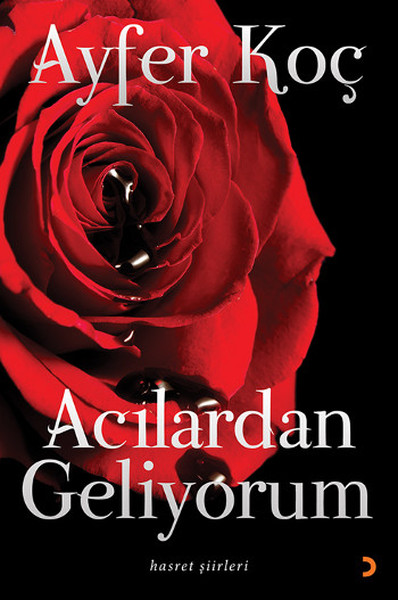 Acılardan Geliyorum.pdf