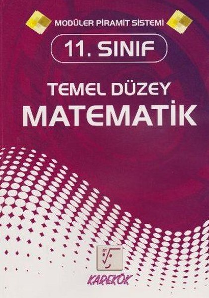 11. Sınıf Temel Düzey Matematik.pdf