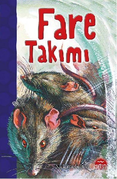 Fare Takımı.pdf
