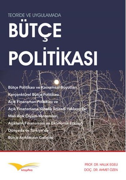 Bütçe Politikası.pdf
