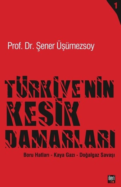 Türkiyenin Kesik Damarları.pdf