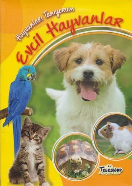 Hayvanları Tanıyorum-Evcil Hayvanlar.pdf