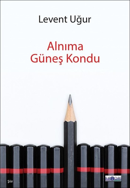 Alnıma Güneş Kondu.pdf