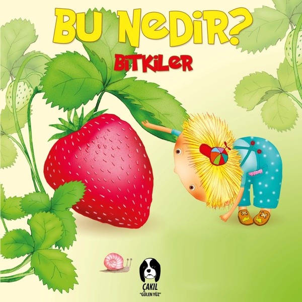 Bu Nedir?-Bitkiler.pdf
