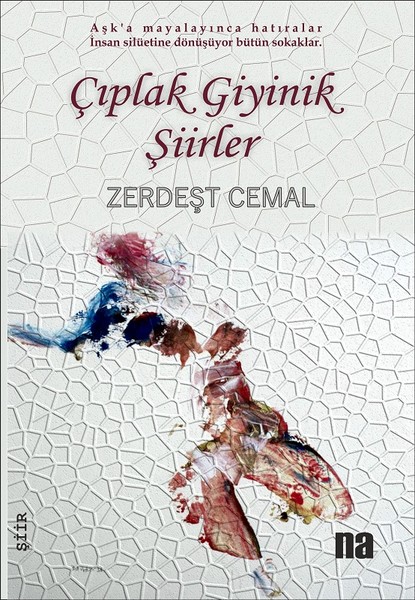 Çıplak Giyinik Şiirler.pdf