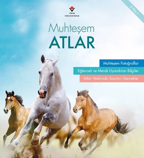 Muhteşem Atlar.pdf