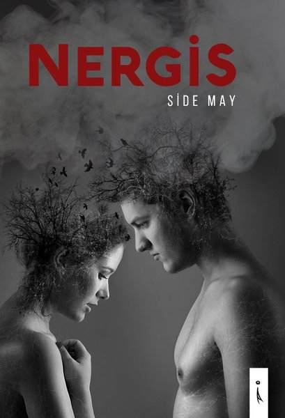Nergis.pdf