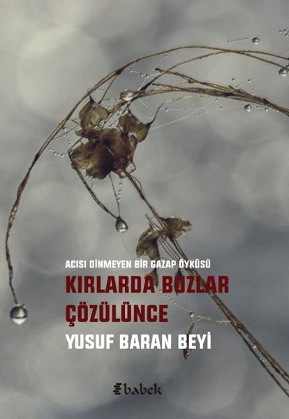Kırlarda Buzlar Çözülünce.pdf