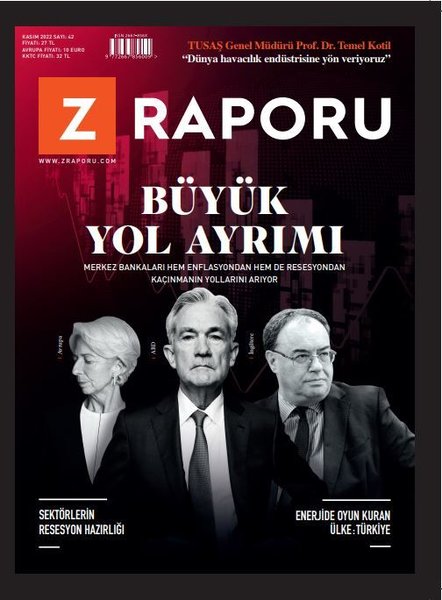 Z Raporu - Kasım 2020.pdf