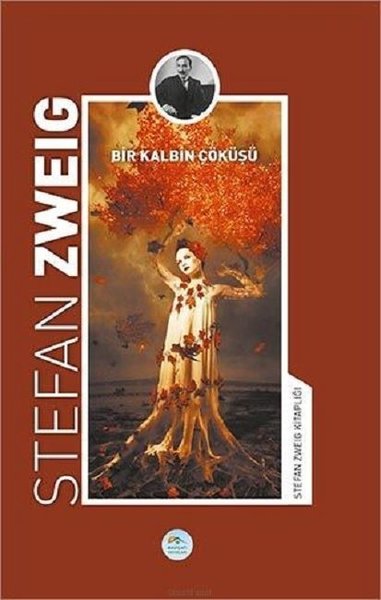 Bir Kalbin Çöküşü-Stefan Zweig Kitaplığı.pdf