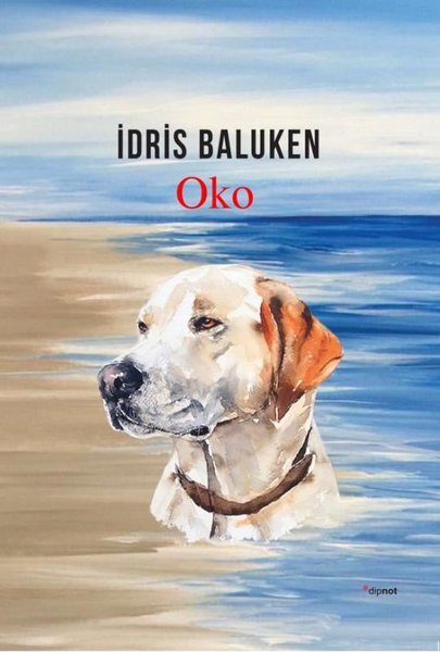 Oko.pdf