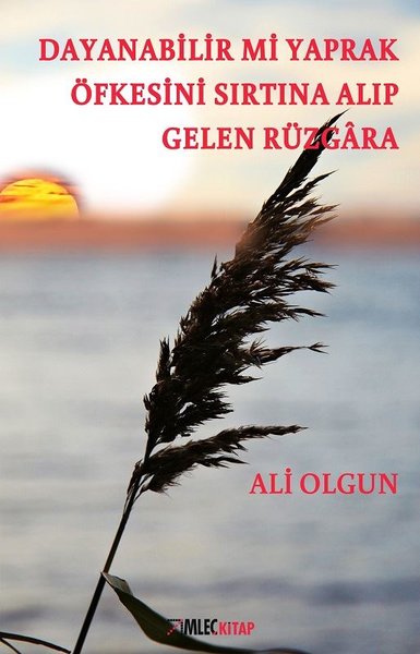 Dayanabilir mi Yaprak Öfkesini Sırtına Alıp Gelen Rüzgara.pdf