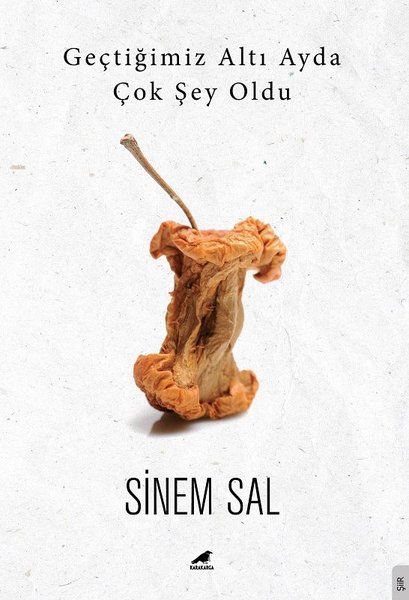 Geçtiğimiz Altı Ayda Çok şey Oldu.pdf