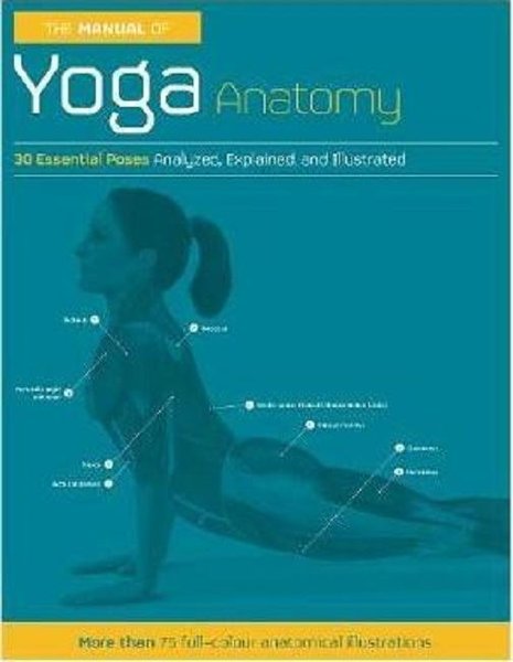 Anatomy And Asana Pdf