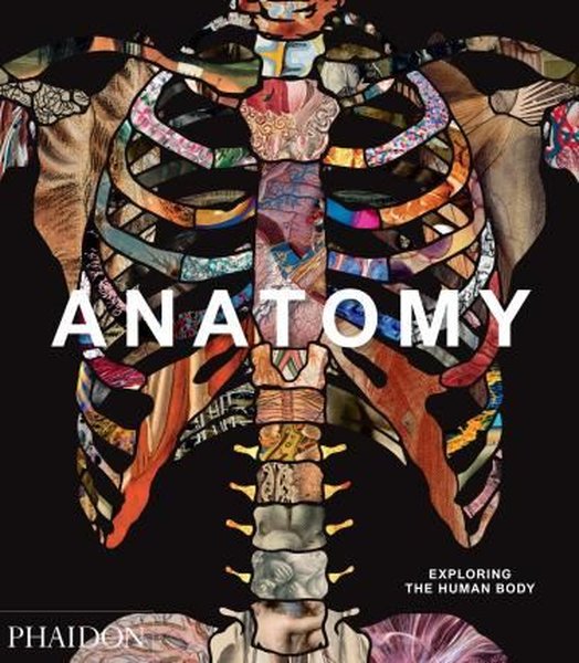 Anatomy: Exploring the Human Body (Explorer).pdf