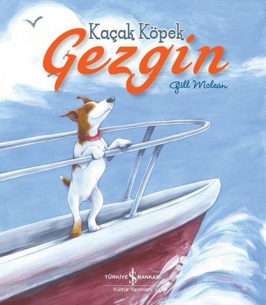 Kaçak Köpek Gezgin.pdf
