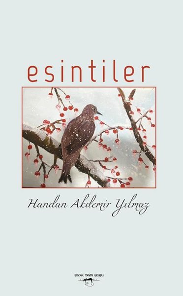 Esintiler.pdf