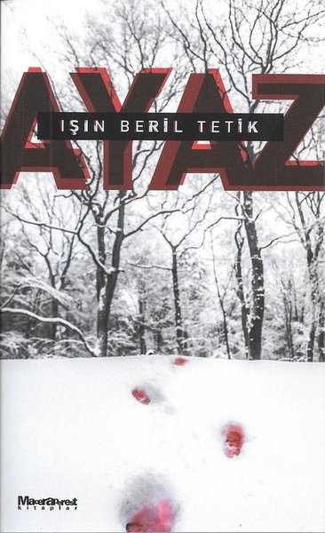 Ayaz.pdf