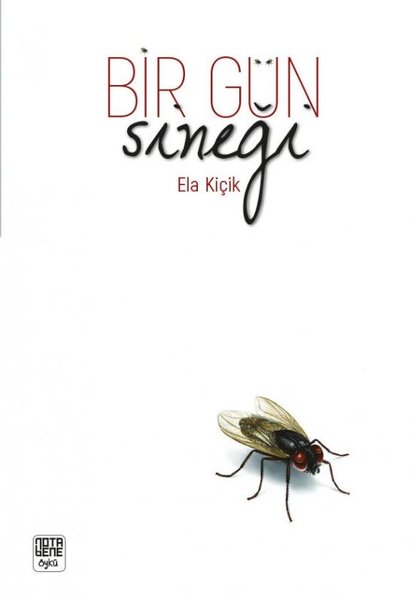 Bir Gün Sineği.pdf