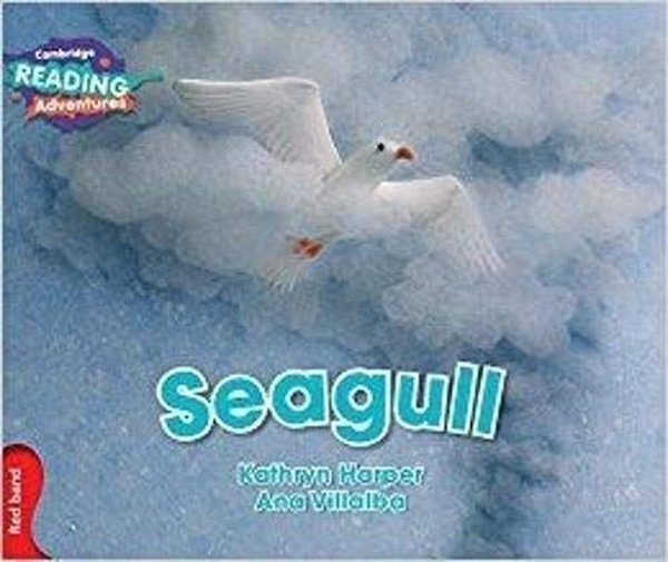 Red Band- Seagull Reading Adventures.pdf