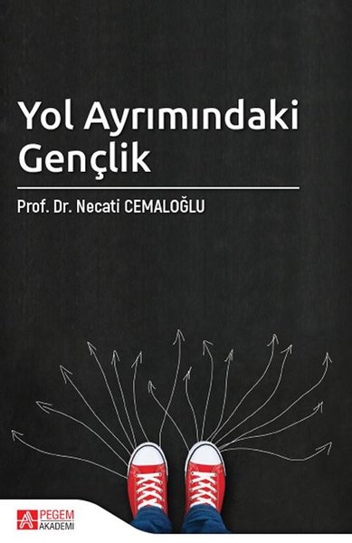 Yol Ayrımındaki Gençlik.pdf