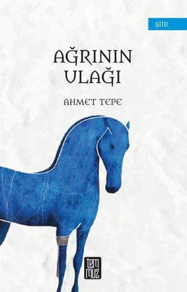 Ağrının Ulağı.pdf