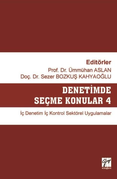 Denetimde Seçme Konular-4.pdf