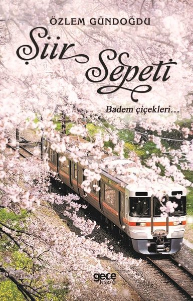 Şiir Sepeti - 2.pdf