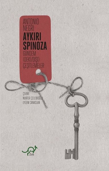 Aykırı Spinoza.pdf