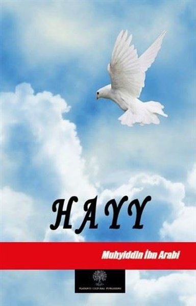 Hayy.pdf