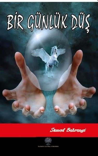 Bir Günlük Düş.pdf