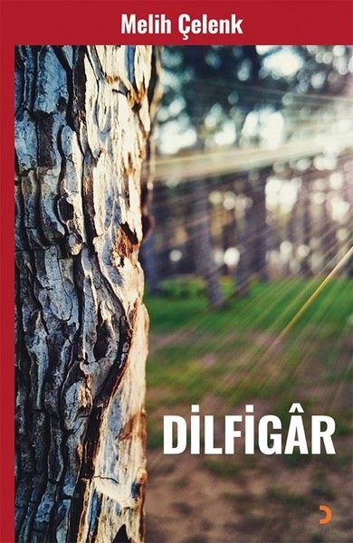 Dilfigar.pdf