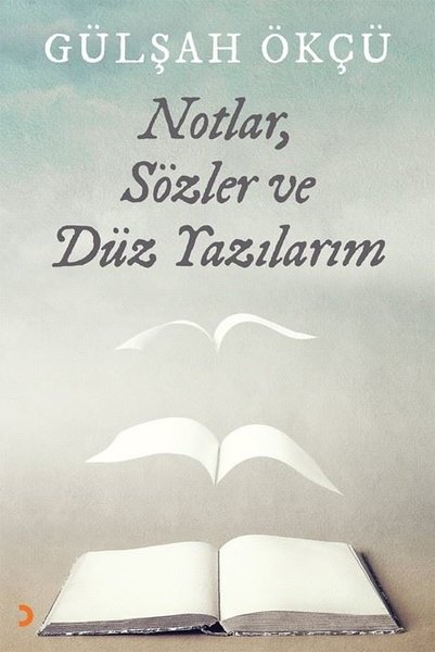 Notlar Sözler ve Düz Yazılarım.pdf