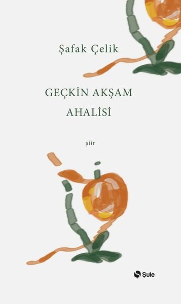 Geçkin Akşam Ahalisi.pdf