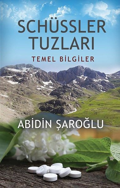 Schüssler Tuzları - Temel Bilgiler.pdf