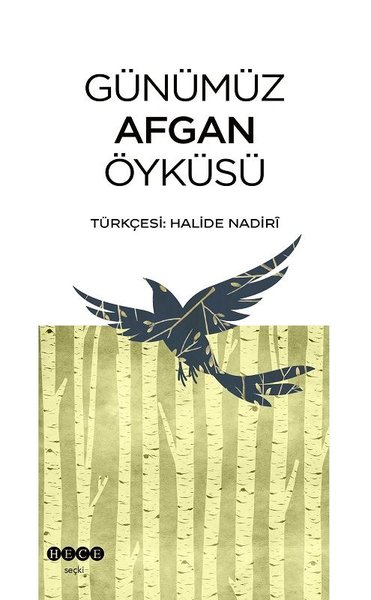 Günümüz Afgan Öyküsü.pdf