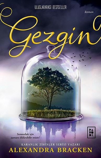 Gezgin - Yolcu Serisi 2.Kitap - 1