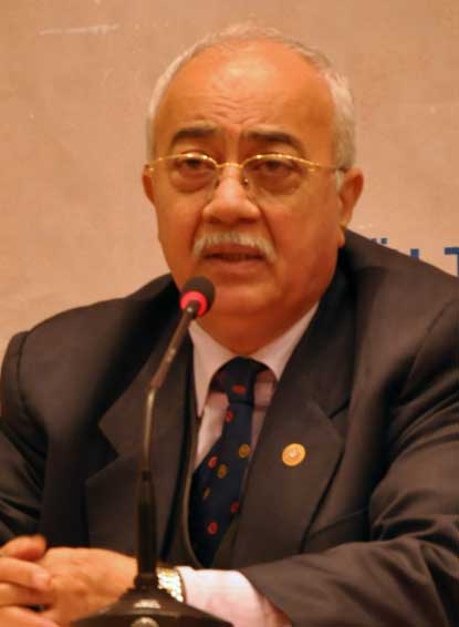 Abdulhaluk M. Çay