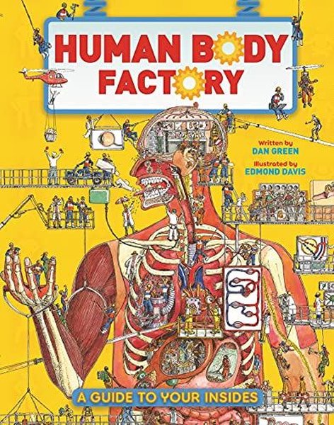 The Human Body Factory: A Guide To Your Insides - Dan Green - Macmillan Childrens Books
