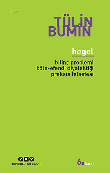 Hegel - Bilinç Problemi Köle-Efendi Diyalektiği Praksis Felsefesi - Tülin Bumin - Yapı Kredi Yayınları