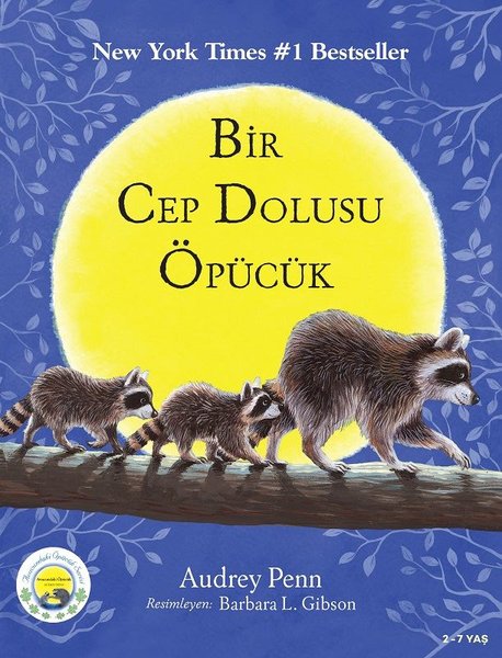 Minik Rakun Bir Cep Dolusu Öpücük - Audrey Penn - Butik