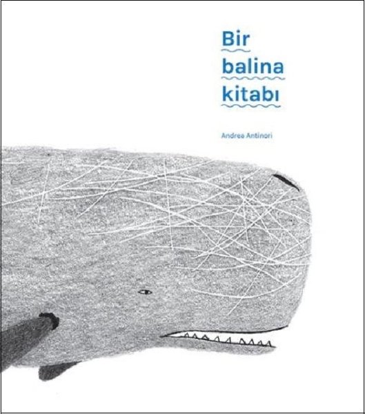 Bir Balina Kitabı - Meav Yayıncılık
