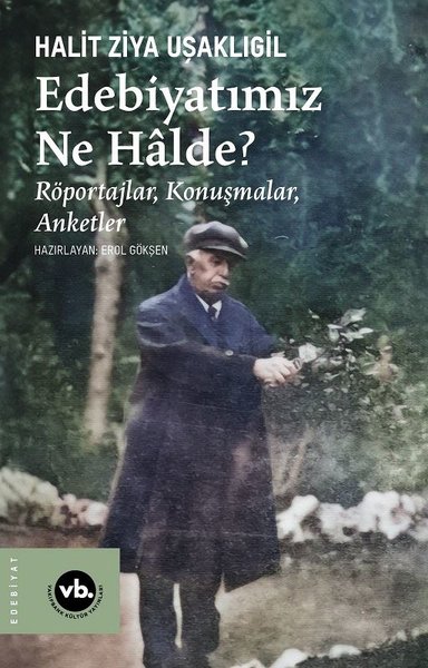 Edebiyatımız Ne Halde? Röportajlar, Konuşmalar, Anketler - VakıfBank Kültür Yayınları