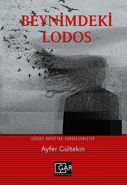 Beynimdeki Lodos - Ayfer Gültekin - Gar Yayınları