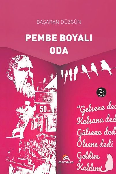 Pembe Boyalı Oda - Başaran Düzgün - Ekinoks